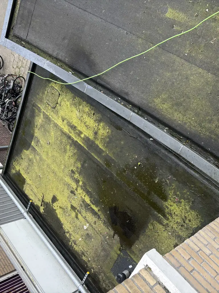 Bitumen dakvlak vol mos en algen in Oudorp, Alkmaar — voor de reiniging